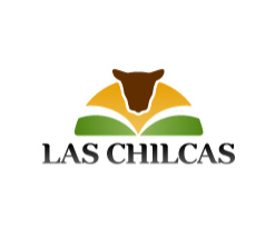 Las Chilcas